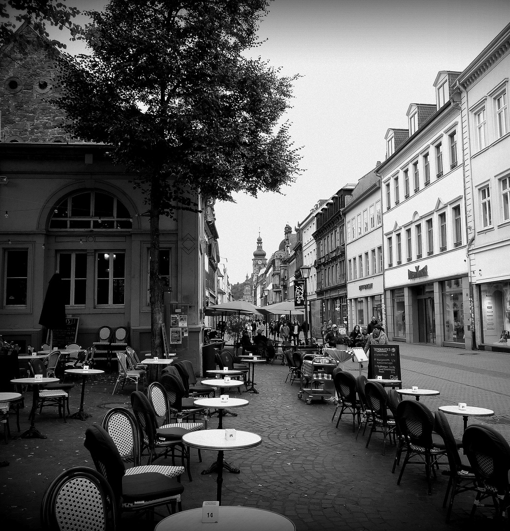 Heidelberg in schwarz weiß 