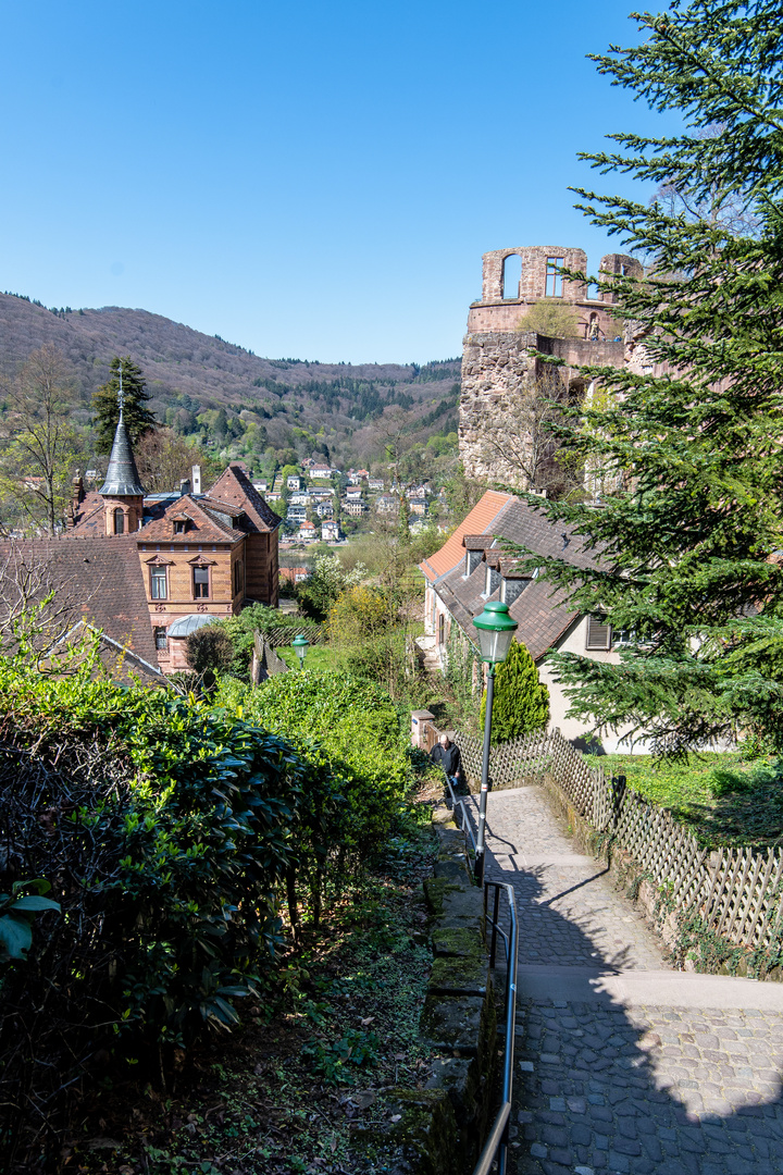 Heidelberg, "Kurzer Buckel"