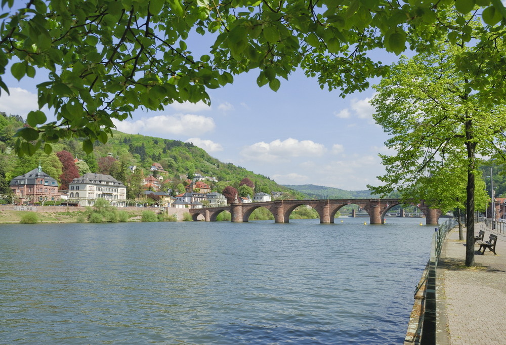 Heidelberg mit Neckar Foto & Bild deutschland, europe, baden