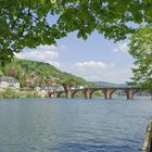 Heidelberg mit Neckar