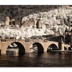 Heidelberg mit Schloss