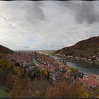 Heidelberg mit Schloß