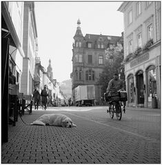 Heidelberg morgens