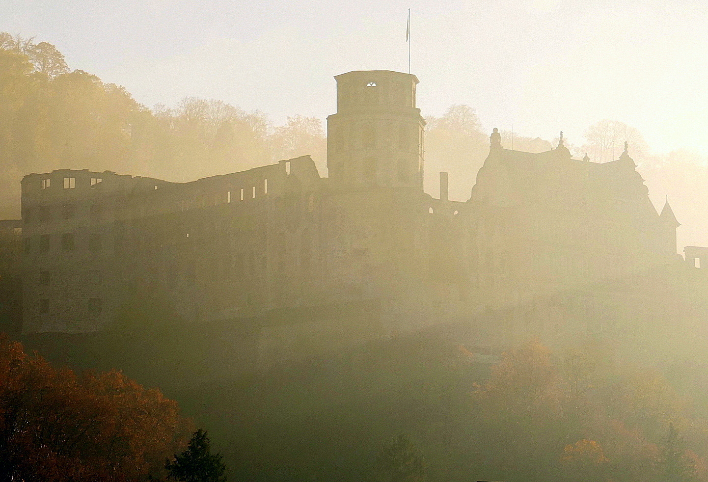 Heidelberg neblig/sonnig(2)