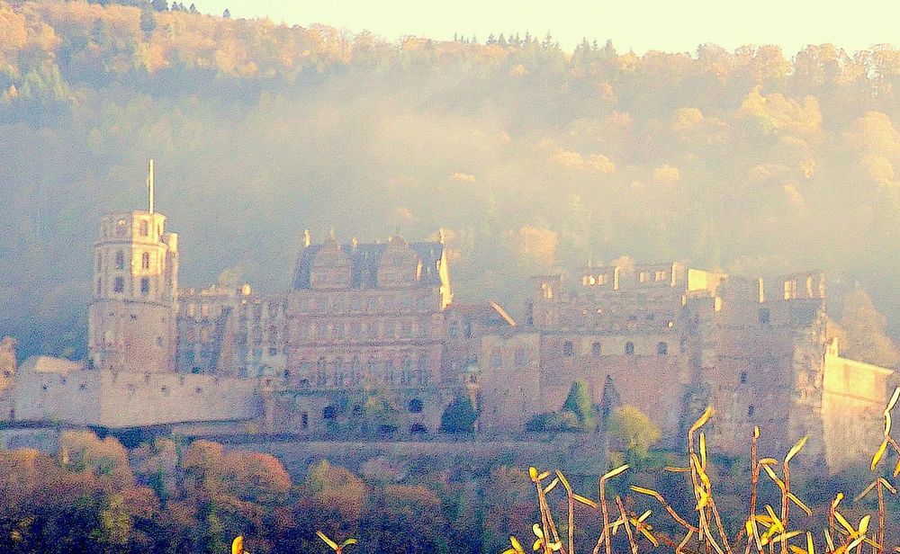 Heidelberg neblig/sonnig(3)