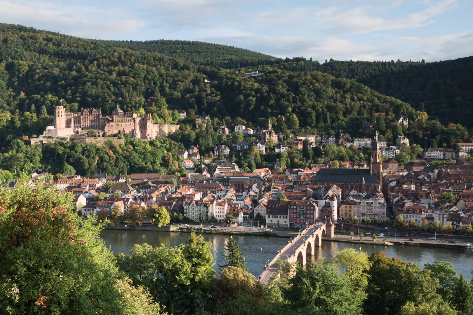 Heidelberg oberhalb steinerner Brücke 2017