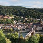 Heidelberg oberhalb steinerner Brücke 2017