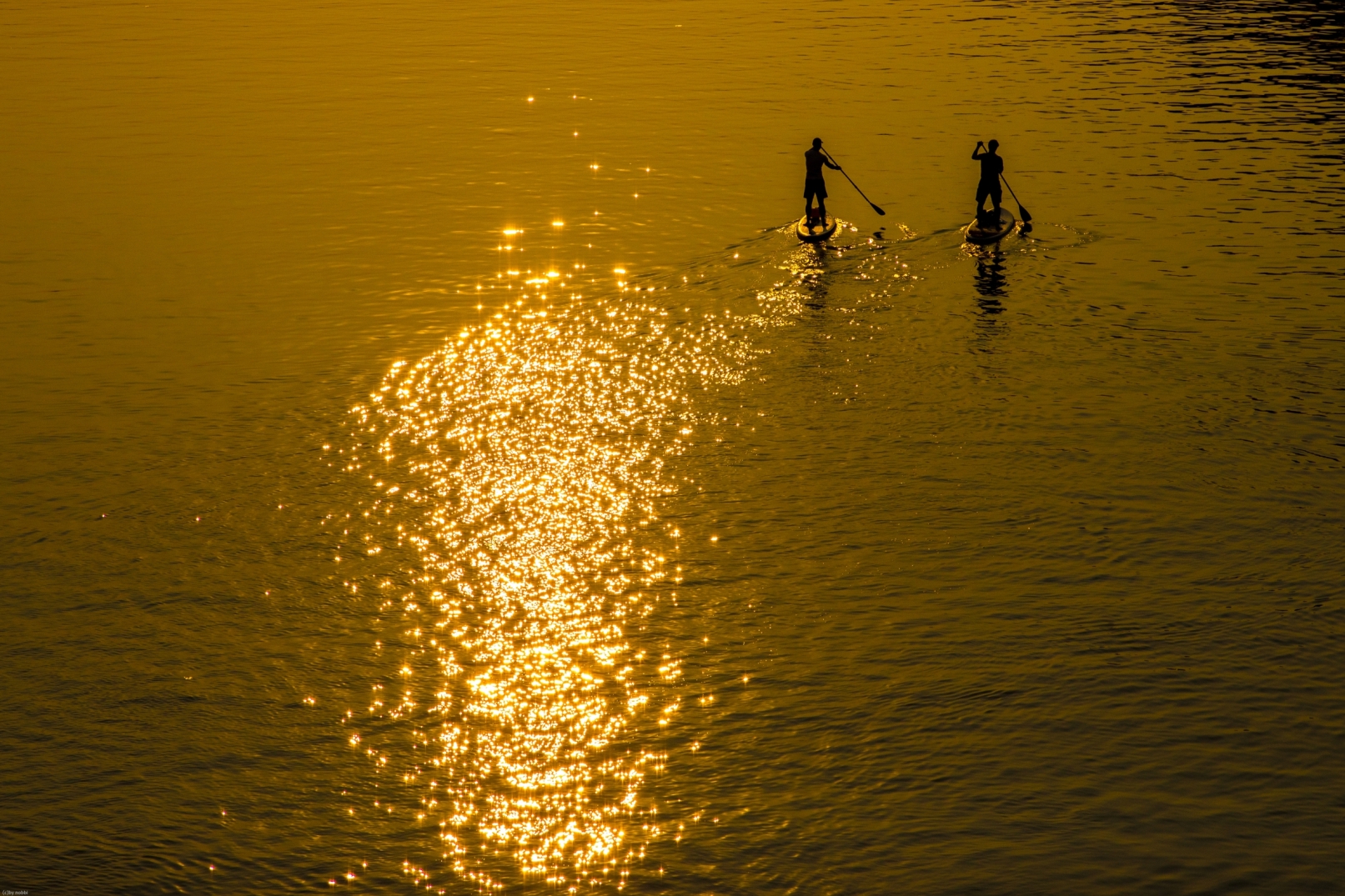 heidelberg - paddling