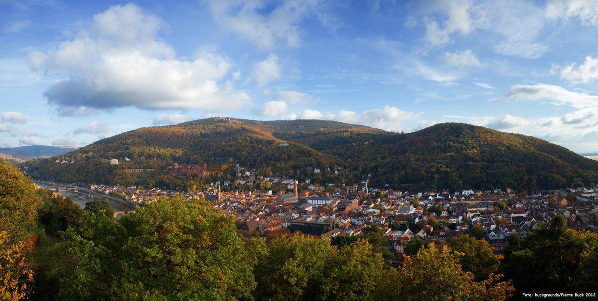 Heidelberg Panorama
