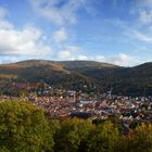 Heidelberg Panorama