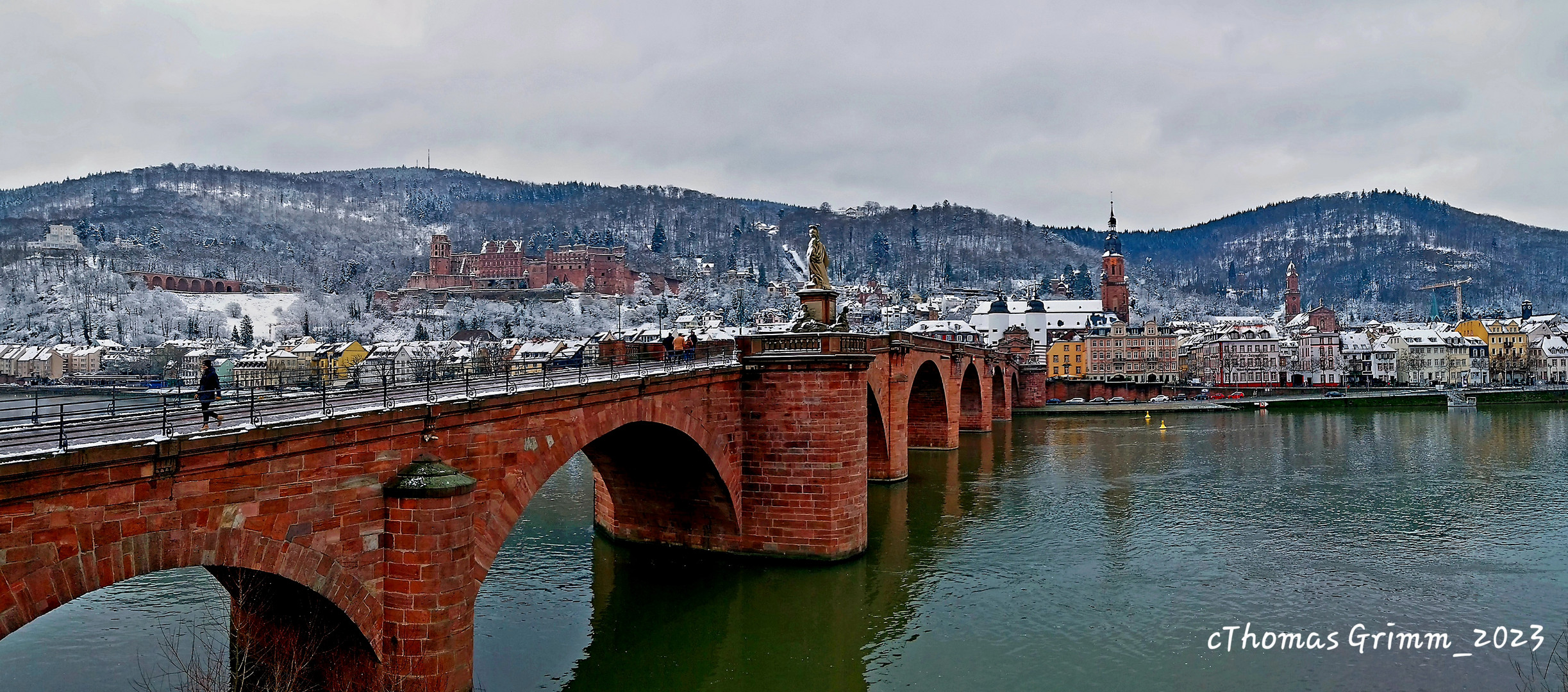 Heidelberg-Panorama