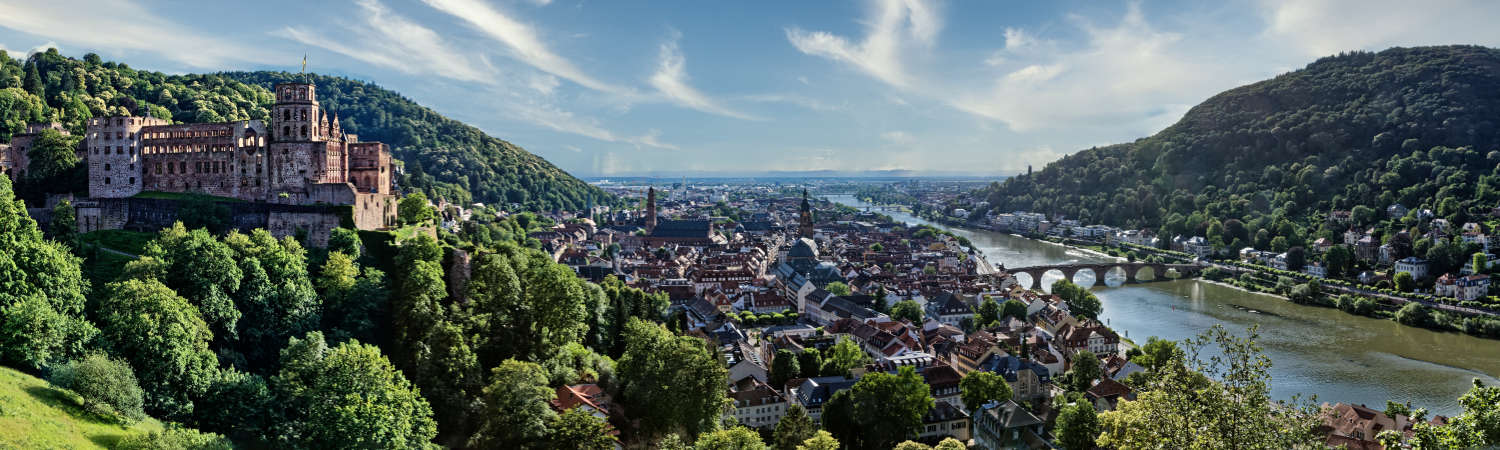 Heidelberg Panorama