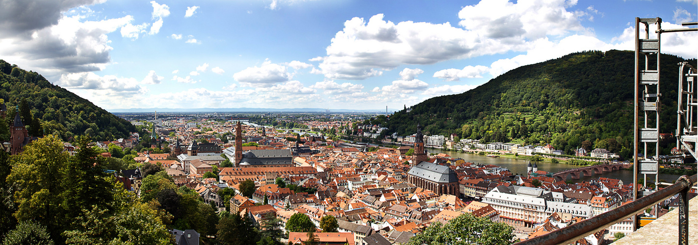 Heidelberg Panorama