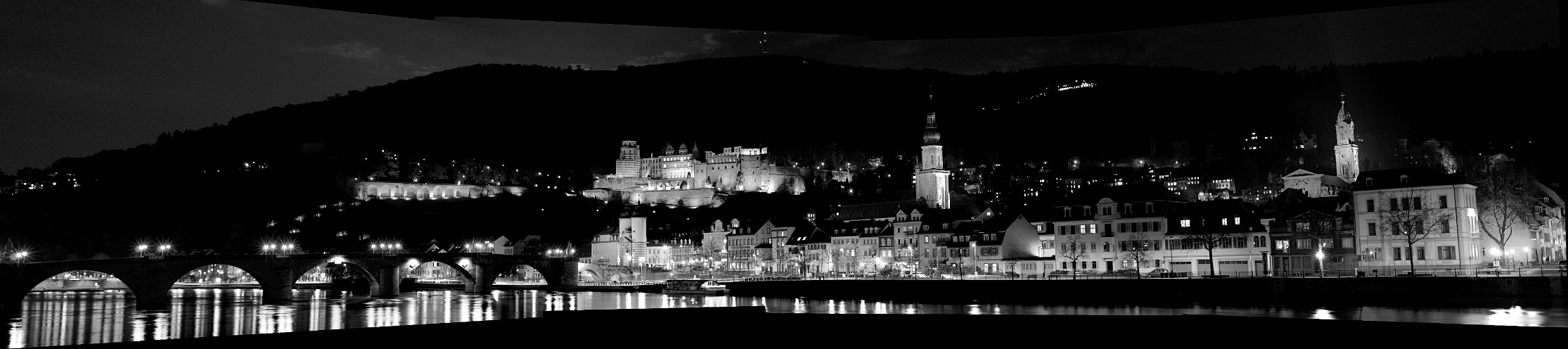 Heidelberg Panorama