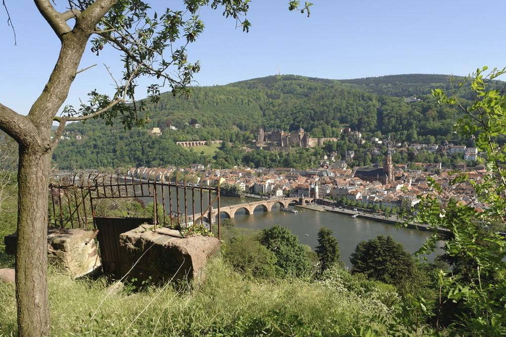 Heidelberg Panorama