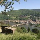 Heidelberg Panorama