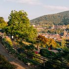 Heidelberg Philosophengärtchen 2018