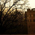 Heidelberg- Schloss