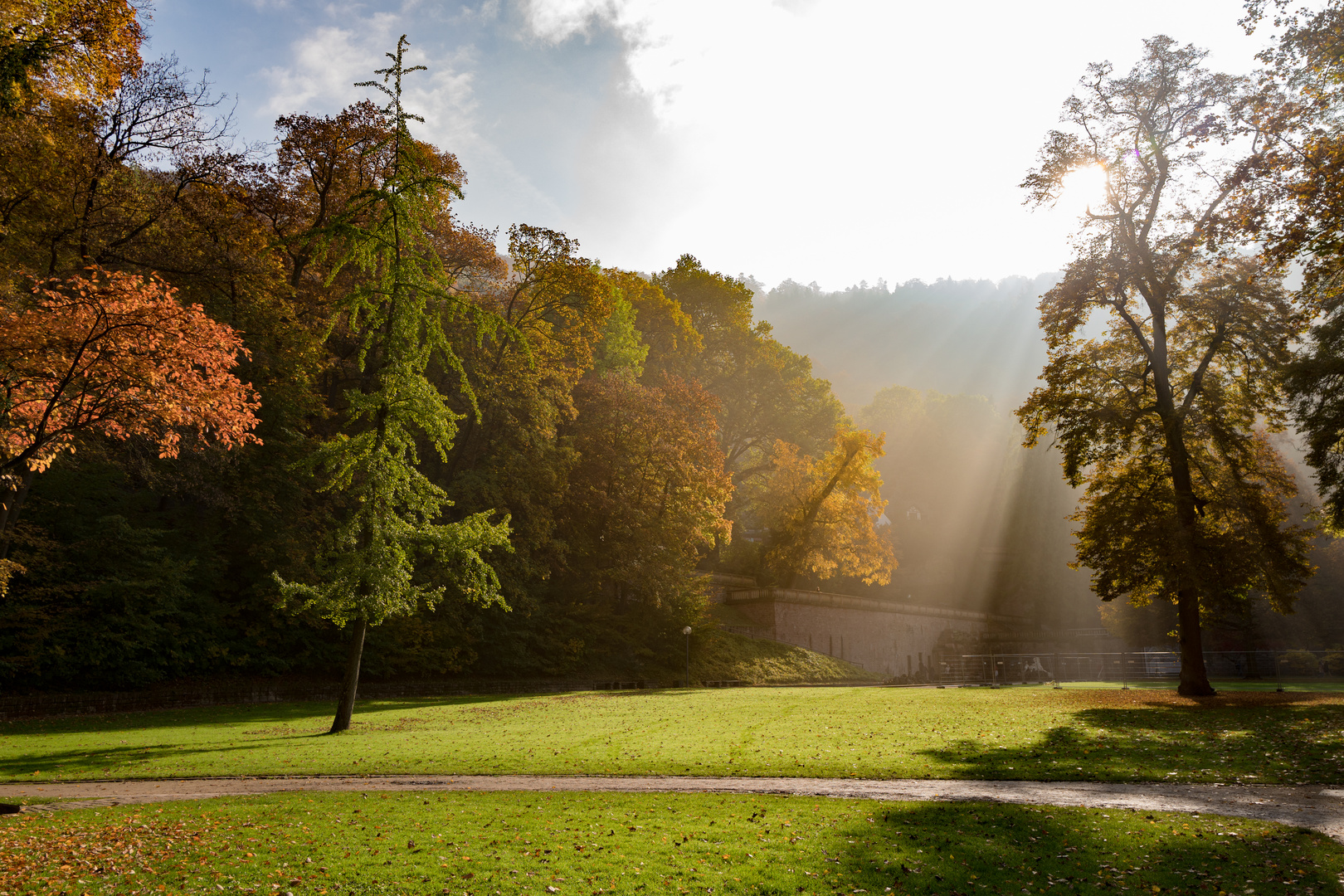 Heidelberg Schloßpark im Herbst