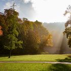 Heidelberg Schloßpark im Herbst