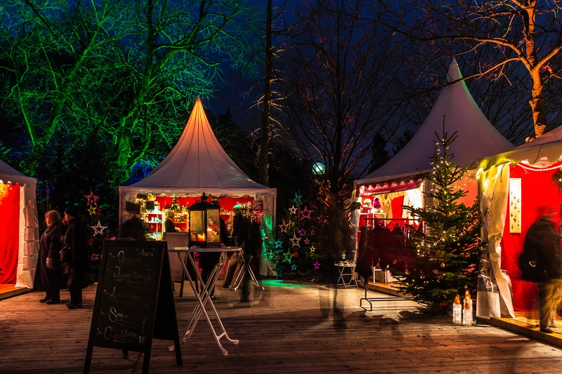 Heidelberg Schlossweihnacht VI