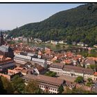 Heidelberg , Sommer 2009