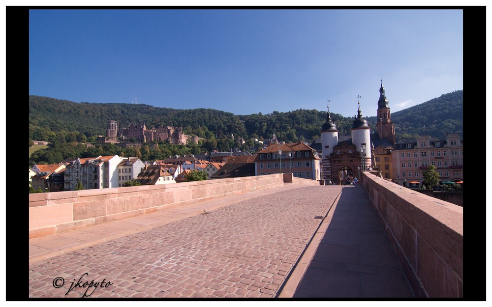 Heidelberg , Sommer 2009