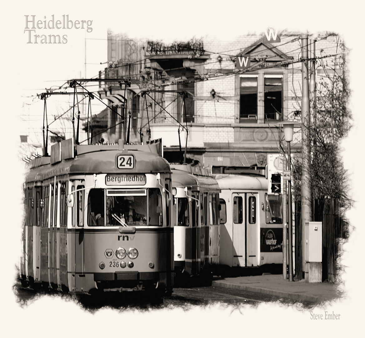 Heidelberg Trams