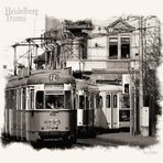 Heidelberg Trams