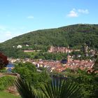 Heidelberg über Palmen