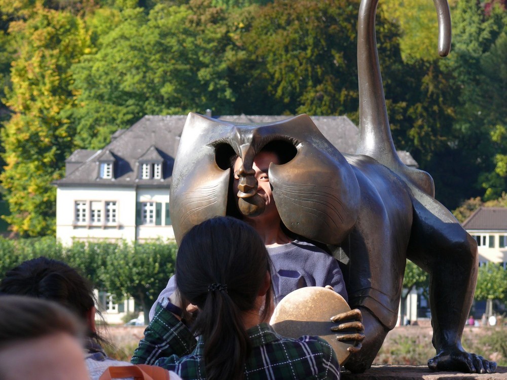 Heidelberg und seine Touristen