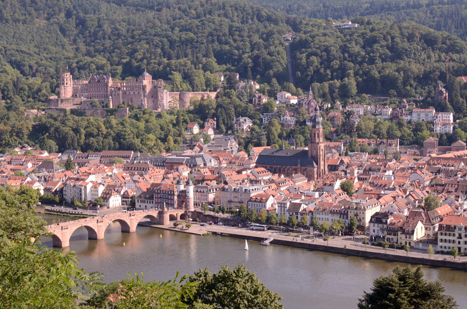 Heidelberg vom Philosophenweg gesehen