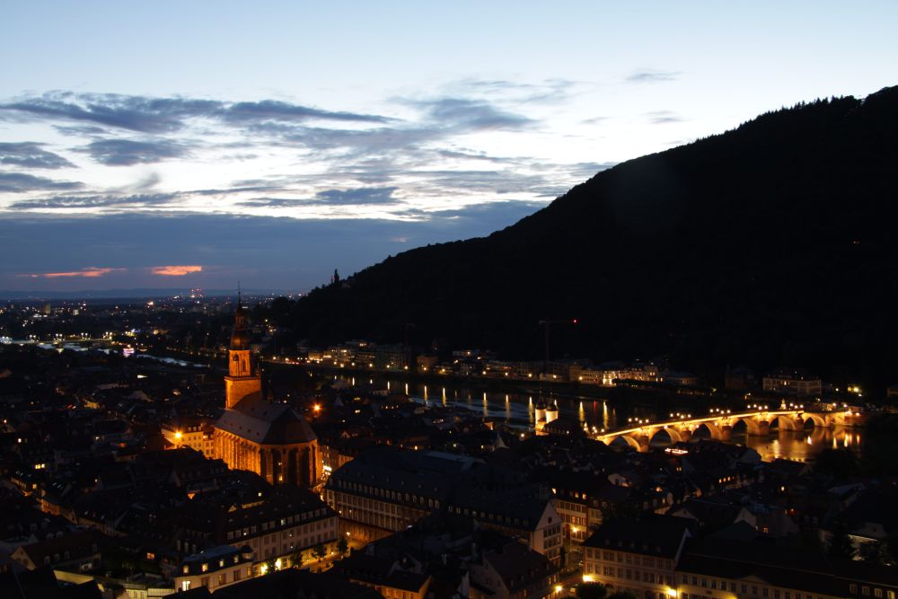 Heidelberg vom Schloss aus