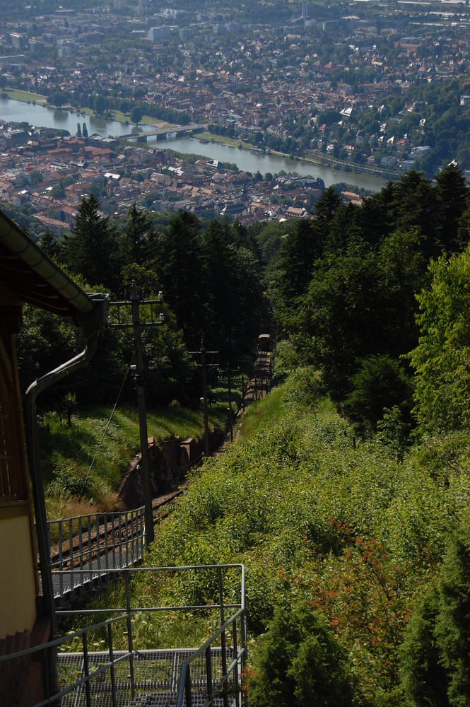 Heidelberg von Oben