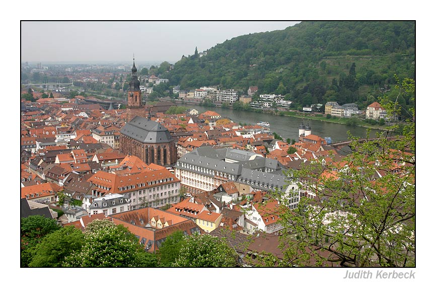 Heidelberg von oben