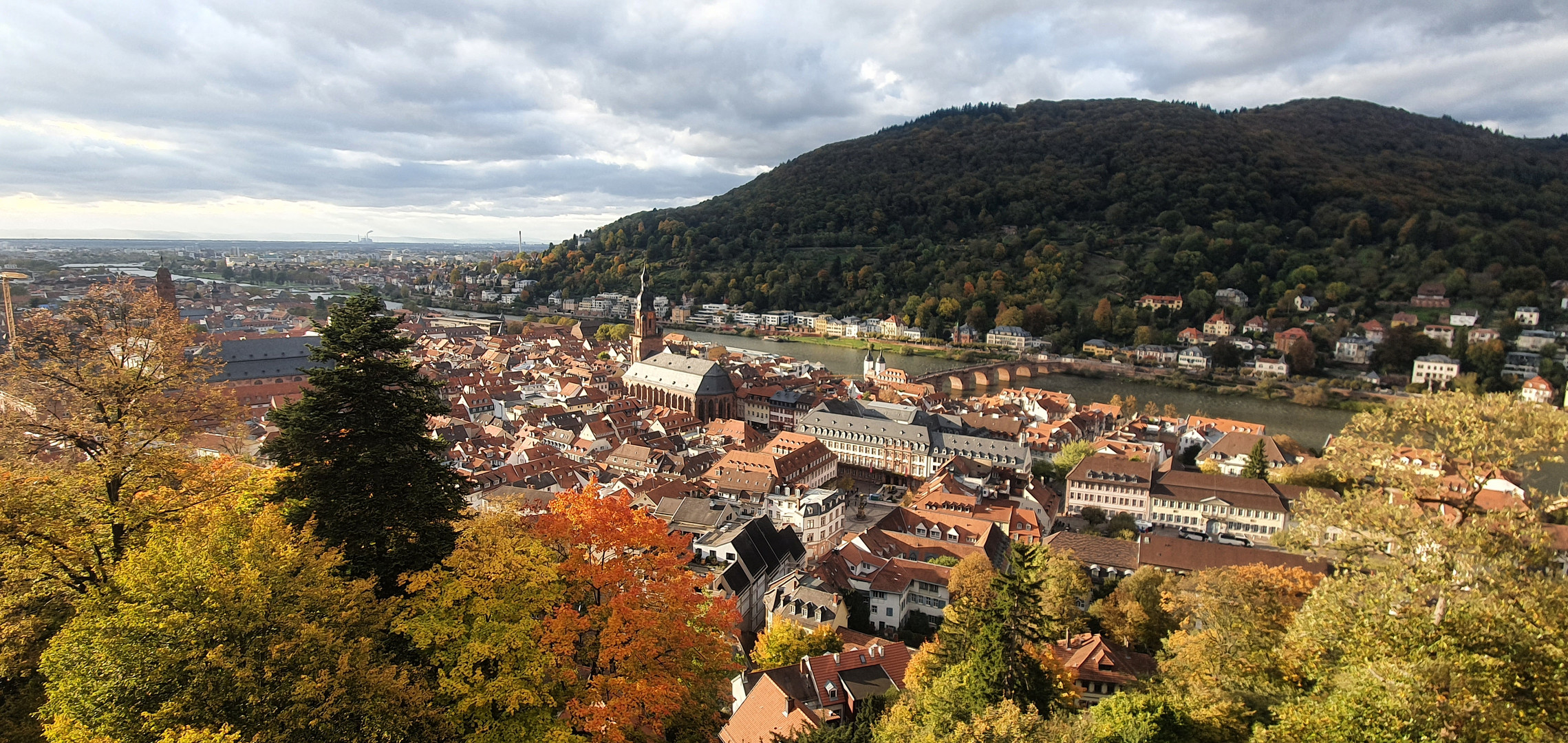 Heidelberg von oben - ohne Filter