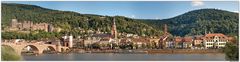 Heidelberger Altstadt mit Schloss