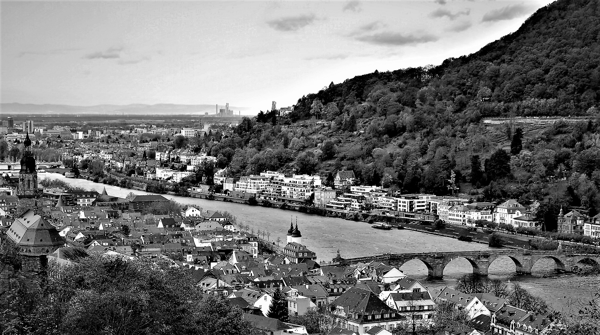 Heidelberger Ausblick auf Altstadt, Alte Brücke und.....