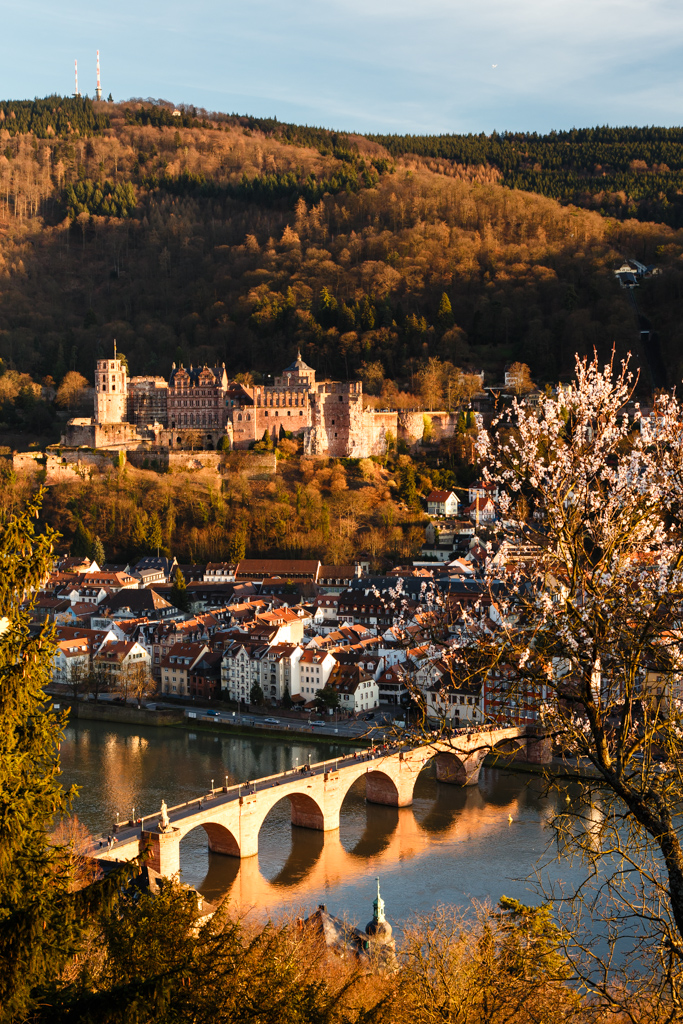 Heidelberger Frühling