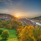 Heidelberger Herbst