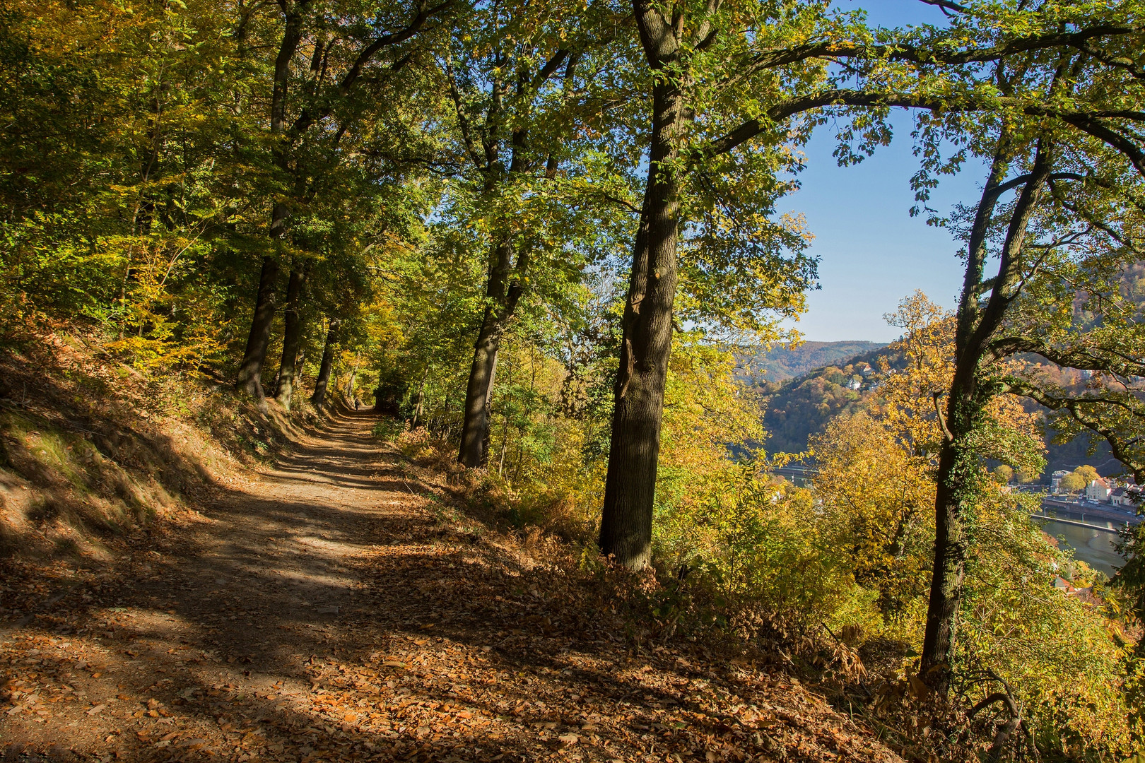 Heidelberger Herbst 2