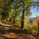 Heidelberger Herbst 2