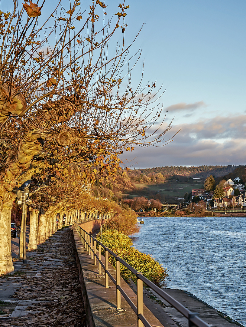 Heidelberger Herbst