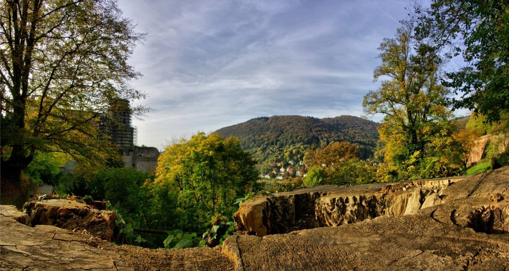 Heidelberger Herbstimpressionen I