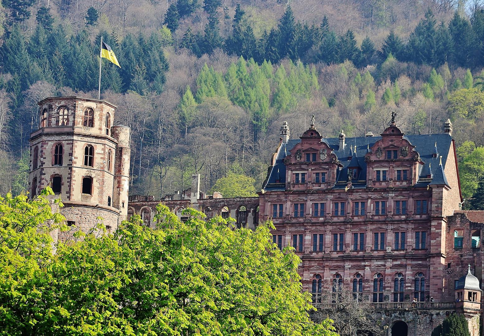 Heidelberger Impressionen/ 1