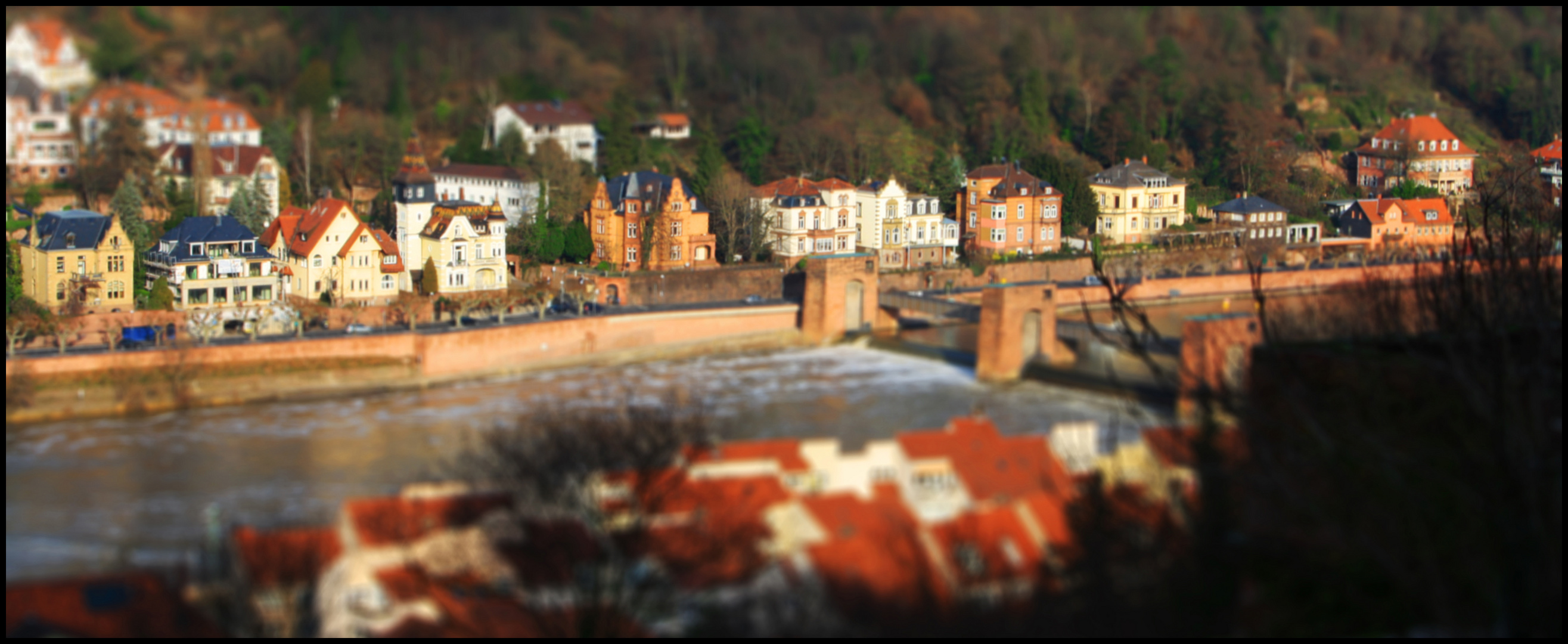 Heidelberger "Modelllandschaft".