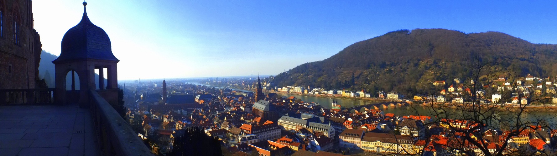 Heidelberger Panorama