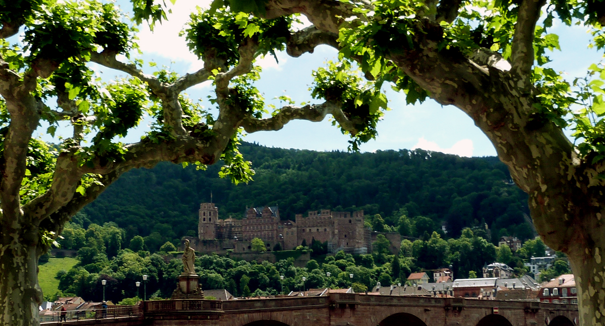 Heidelberger Schloss