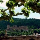 Heidelberger Schloss