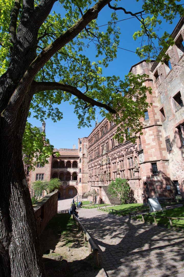 Heidelberger Schloss